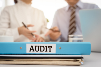 What Will The ATO Audit This Year?